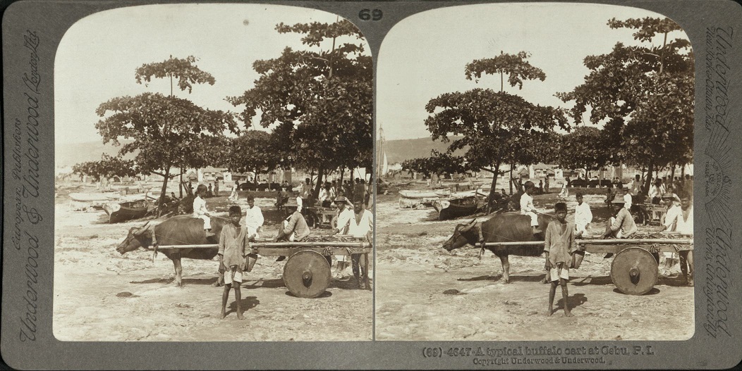 A typical buffalo cart at Cebu, P. I.